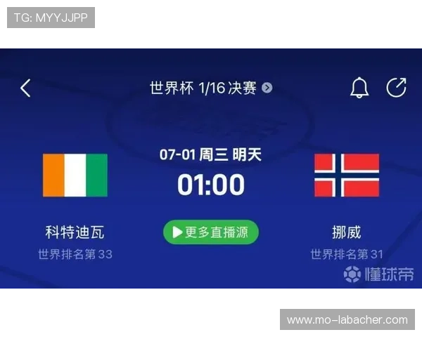 世界杯挪威法国比赛门票购买流程详解，助你轻松抢到心仪座位